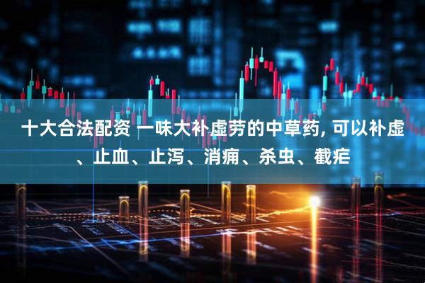 十大合法配资 一味大补虚劳的中草药, 可以补虚、止血、止泻、消痈、杀虫、截疟