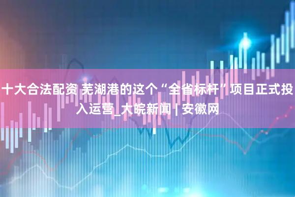 十大合法配资 芜湖港的这个“全省标杆”项目正式投入运营_大皖新闻 | 安徽网