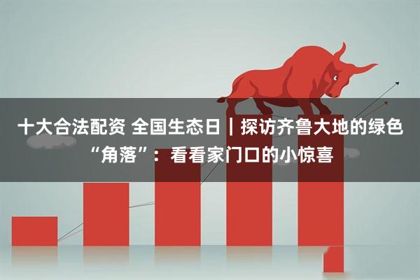 十大合法配资 全国生态日｜探访齐鲁大地的绿色“角落”：看看家门口的小惊喜