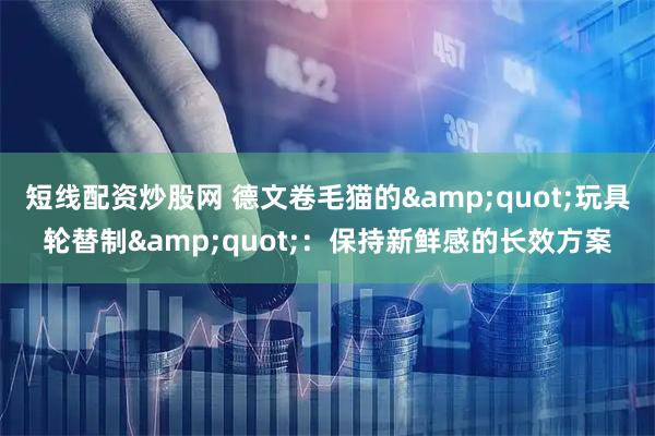 短线配资炒股网 德文卷毛猫的"玩具轮替制"：保持新鲜感的长效方案